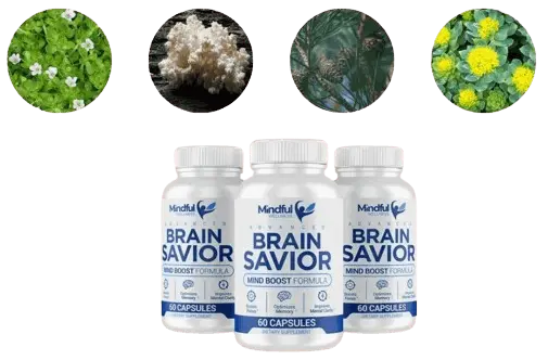 brain-savior-ingredients
